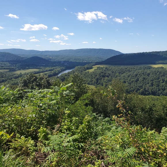 Meet your Posher, Sabrina - Picture 6 of 8